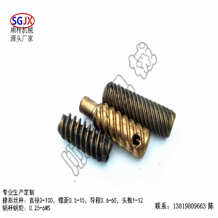 廠家生產（chǎn）加工 電機銅蝸杆 中小模數漸開線馬達軸蝸杆（gǎn） 單頭雙頭（tóu）多頭